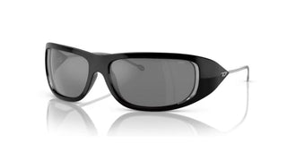 Diesel DL 3001 unisex Black Other Sunglasses