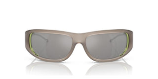 Diesel DL 3001 unisex Grey Other Sunglasses
