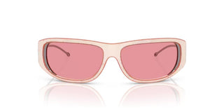 Diesel DL 3001 unisex Pink Other Sunglasses