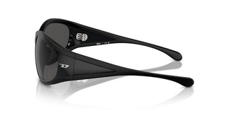 Diesel Dl 3002 Unisex Black Other Sunglasses