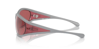 Diesel Dl 3002 Unisex Grey Other Sunglasses