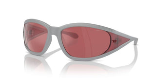 Diesel Dl 3002 Unisex Grey Other Sunglasses