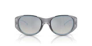 Diesel DL 3003 unisex Grey Sunglasses