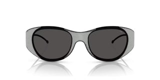 Diesel DL 3003 unisex Grey Sunglasses
