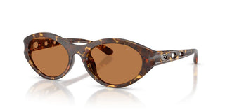 Diesel Dl 3005u Women Havana Oval Sunglasses