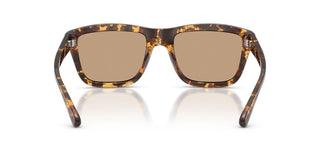 Diesel DL 3006U unisex Havana Squared Sunglasses