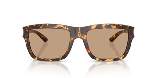 Diesel DL 3006U unisex Havana Squared Sunglasses