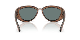 Diesel Dl 3007u Unisex Brown Other Sunglasses