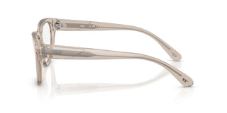 Diesel DL 4001F unisex Brown Pantos Eyeglasses