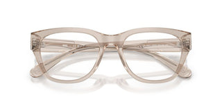 Diesel DL 4001 unisex Brown Pantos Eyeglasses