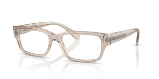 Diesel DL 4002 unisex Brown Rectangle Eyeglasses