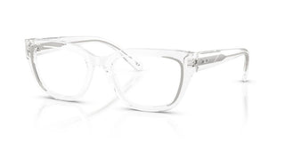 Diesel DL 4003 unisex Transparent Squared Eyeglasses