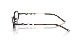 Diesel DL 5001 unisex Brown Oval Eyeglasses