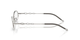 Diesel DL 5001 unisex Silver Oval Eyeglasses