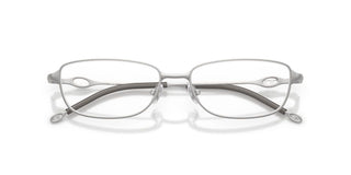 Diesel Dl 5002 Unisex Silver Rectangle Eyeglasses