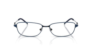 Diesel Dl 5002 Unisex Blue Rectangle Eyeglasses