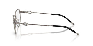 Diesel DL 5003 unisex Silver Squared Eyeglasses