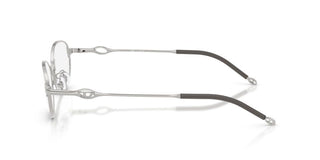 Diesel DL 5004D unisex Silver Oval Eyeglasses