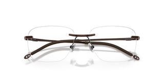 Diesel DL 5005 unisex Brown Rectangle Eyeglasses