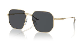 Emporio Armani Ea 2154d Men Gold Pilot Sunglasses
