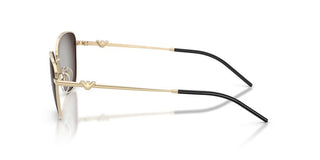 Emporio Armani EA 2170 women Gold Cat Eye Sunglasses