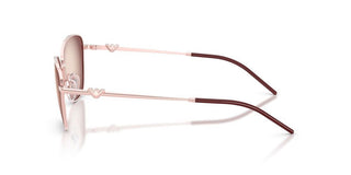 Emporio Armani EA 2170 women Pink Cat Eye Sunglasses