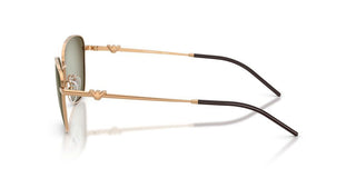 Emporio Armani EA 2170 women Brown Cat Eye Sunglasses