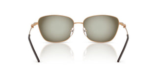 Emporio Armani EA 2170 women Brown Cat Eye Sunglasses