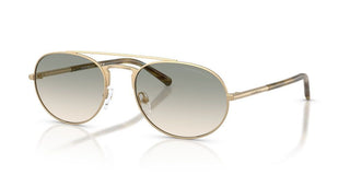 Emporio Armani EA 2171 men Gold Round Sunglasses