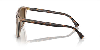 Emporio Armani EA 4060 women Brown Cat Eye Sunglasses