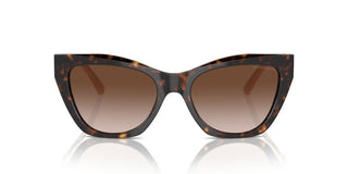 Emporio Armani Ea 4176 Women Havana Cat Eye Sunglasses