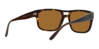 Emporio Armani EA 4197 men Havana Squared Sunglasses