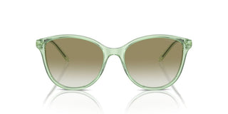 Emporio Armani Ea 4220 Women Green Cat Eye Sunglasses