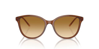 Emporio Armani Ea 4220 Women Brown Cat Eye Sunglasses