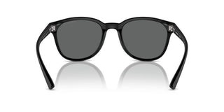 Emporio Armani Ea 4225u Men Black Pantos Sunglasses