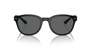 Emporio Armani Ea 4225u Men Black Pantos Sunglasses