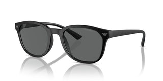 Emporio Armani Ea 4225u Men Black Pantos Sunglasses