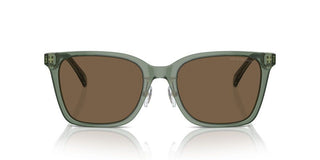 Emporio Armani Ea 4226d Men Green Squared Sunglasses