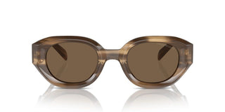 Emporio Armani Ea 4230u Men Brown Oval Sunglasses