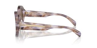 Emporio Armani Ea 4231u Women Multicolor Round Sunglasses