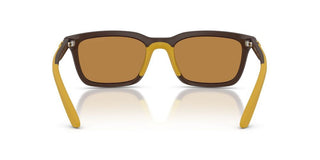 Emporio Armani Ea 4249u Men Brown Squared Sunglasses