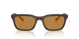 Emporio Armani Ea 4249u Men Brown Squared Sunglasses