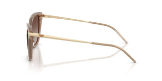 Emporio Armani Ea 4251 Women Pink Cat Eye Sunglasses