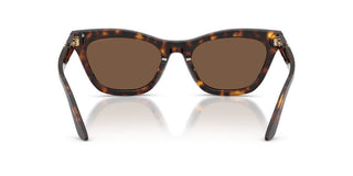 Emporio Armani EA 4259U women Havana Cat Eye Sunglasses