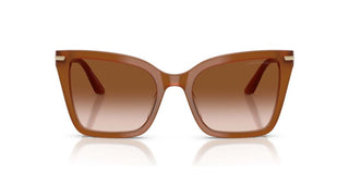Emporio Armani EA 4273BU women Brown Sunglasses