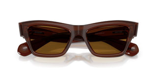 Oliver Peoples Edition 3 Ov 5611su Women Brown Cat Eye Sunglasses