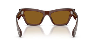 Oliver Peoples Edition 3 Ov 5611su Women Brown Cat Eye Sunglasses