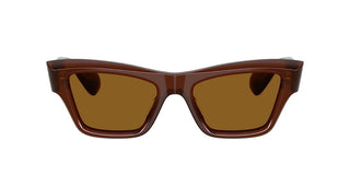 Oliver Peoples Edition 3 Ov 5611su Women Brown Cat Eye Sunglasses