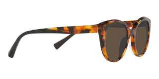 Alain Mikli ELINETTA SUN 0A05066 women Havana Cat Eye Sunglasses