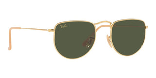 Ray-Ban ELON RB 3958 unisex Gold Geometric Sunglasses